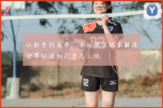 从新手到高手：专访资深玩家解读世界杯福利彩票怎么玩