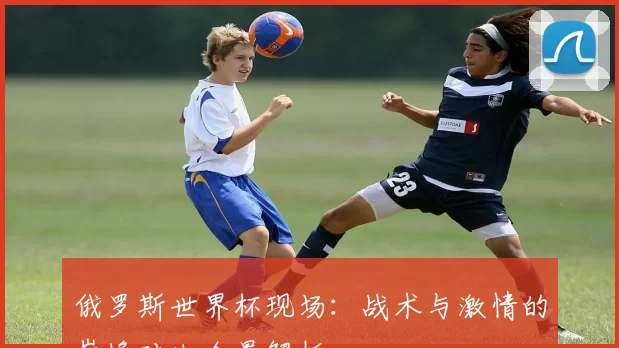 俄罗斯世界杯现场：战术与激情的巅峰对决全景解析