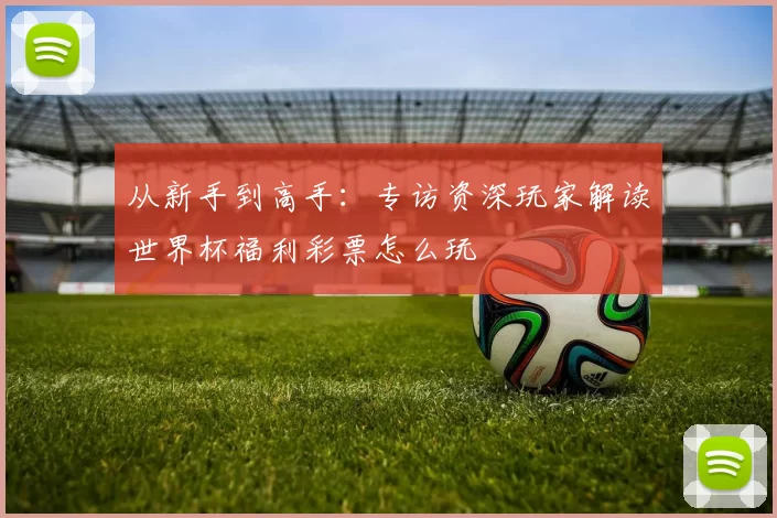 从新手到高手:专访资深玩家解读世界杯福利彩票怎么玩
