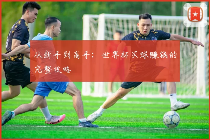 从新手到高手：世界杯买球赚钱的完整攻略