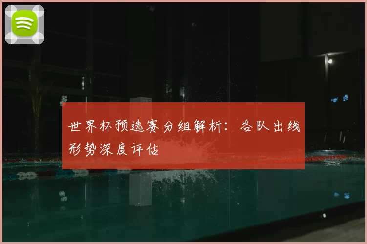 世界杯预选赛分组解析：各队出线形势深度评估