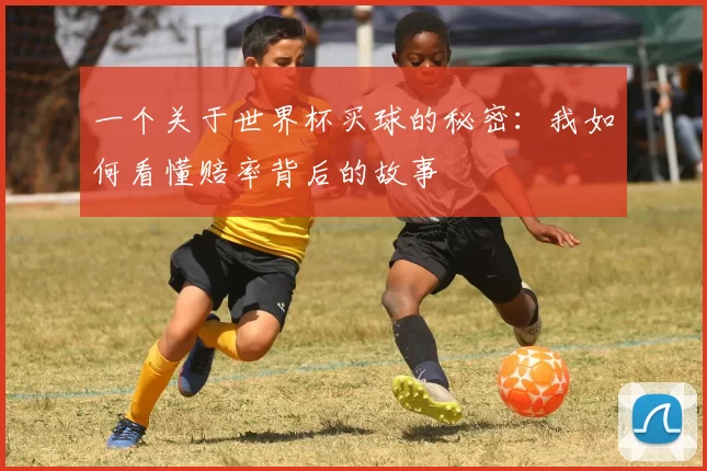 一个关于世界杯买球的秘密：我如何看懂赔率背后的故事