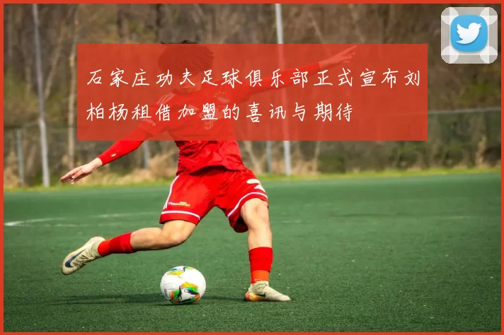 石家庄功夫足球俱乐部正式宣布刘柏杨租借加盟的喜讯与期待