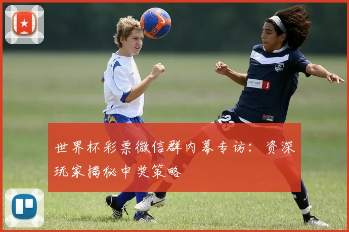 世界杯彩票微信群内幕专访：资深玩家揭秘中奖策略