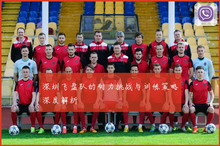 深圳飞盘队的耐力挑战与训练策略深度解析