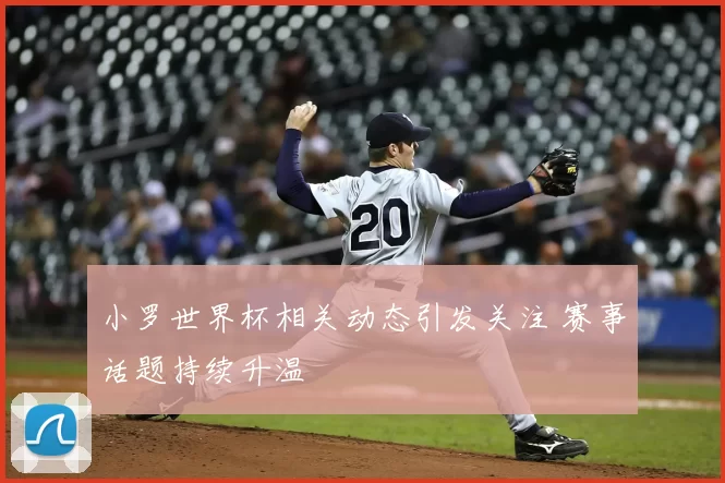 小罗世界杯相关动态引发关注 赛事话题持续升温