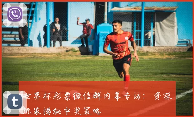 世界杯彩票微信群内幕专访：资深玩家揭秘中奖策略