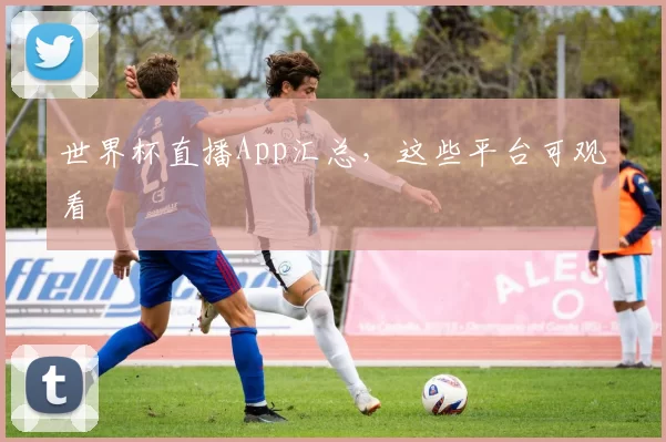 世界杯直播App汇总，这些平台可观看