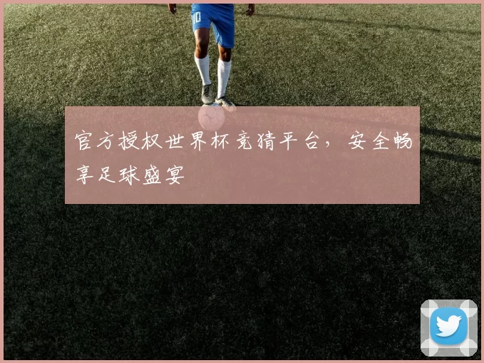 官方授权世界杯竞猜平台，安全畅享足球盛宴